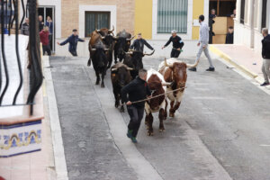 Puçol bous de Sant Antoni