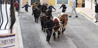 Puçol bous de Sant Antoni