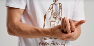 iniciativa fallera solidaridad con la DANA