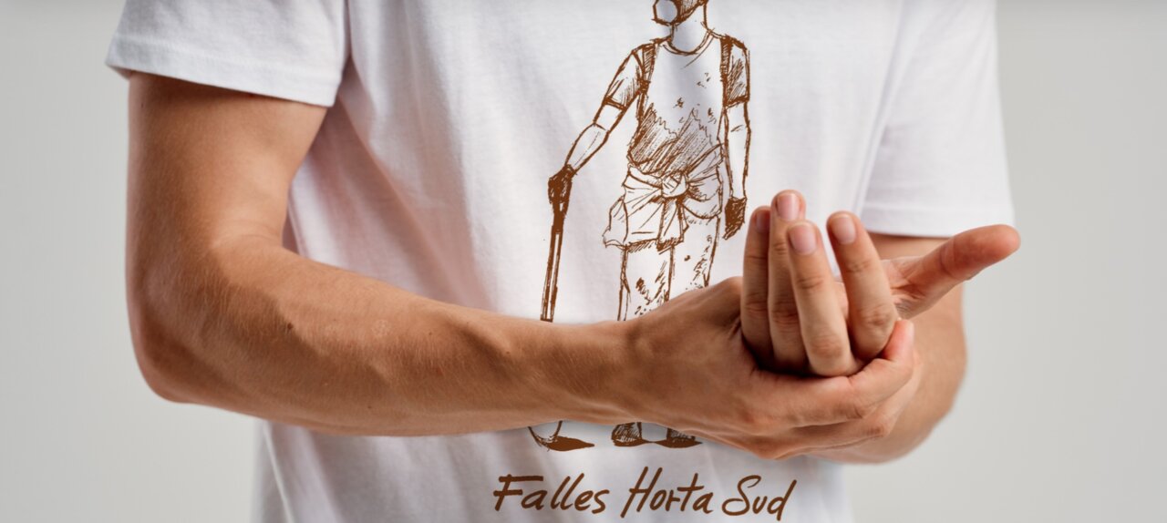 iniciativa fallera solidaridad con la DANA