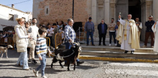 Puçol Bendición animales Sant Antoni