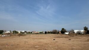 Terreno vacío tras la retirada de vehículos en Sedaví