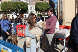 Sant Antoni de Almàssera