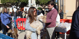 Sant Antoni de Almàssera