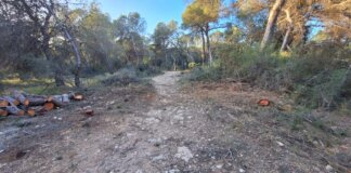 Aliança per l'Emergència Climàtica denuncia 