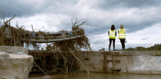primer premio concurso fotográfico Global Omnium