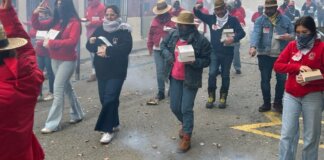 desperta-burjassot-fallas