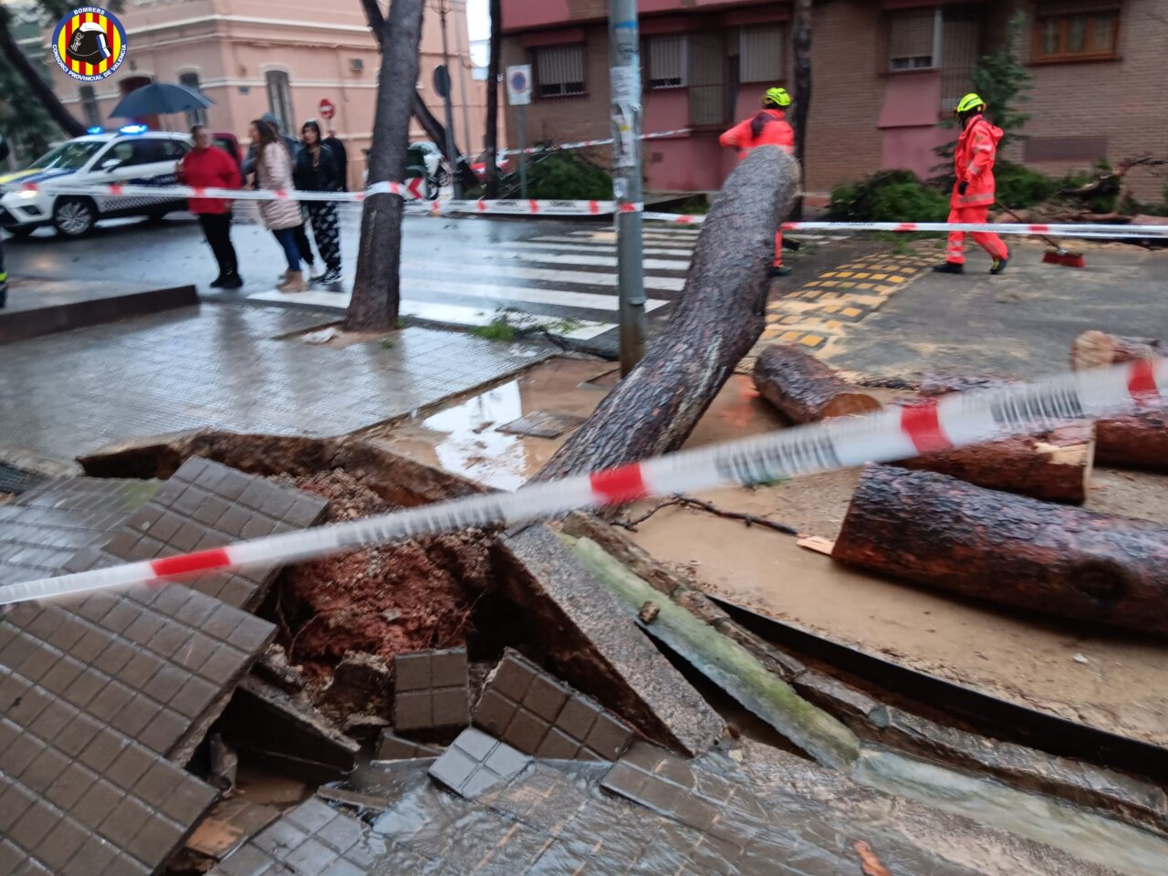 Godella árbol caído temporal