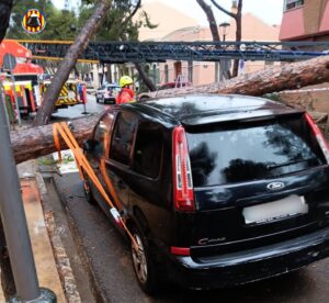 Árbol caído sobre vehículos en Godella tras temporal de lluvias