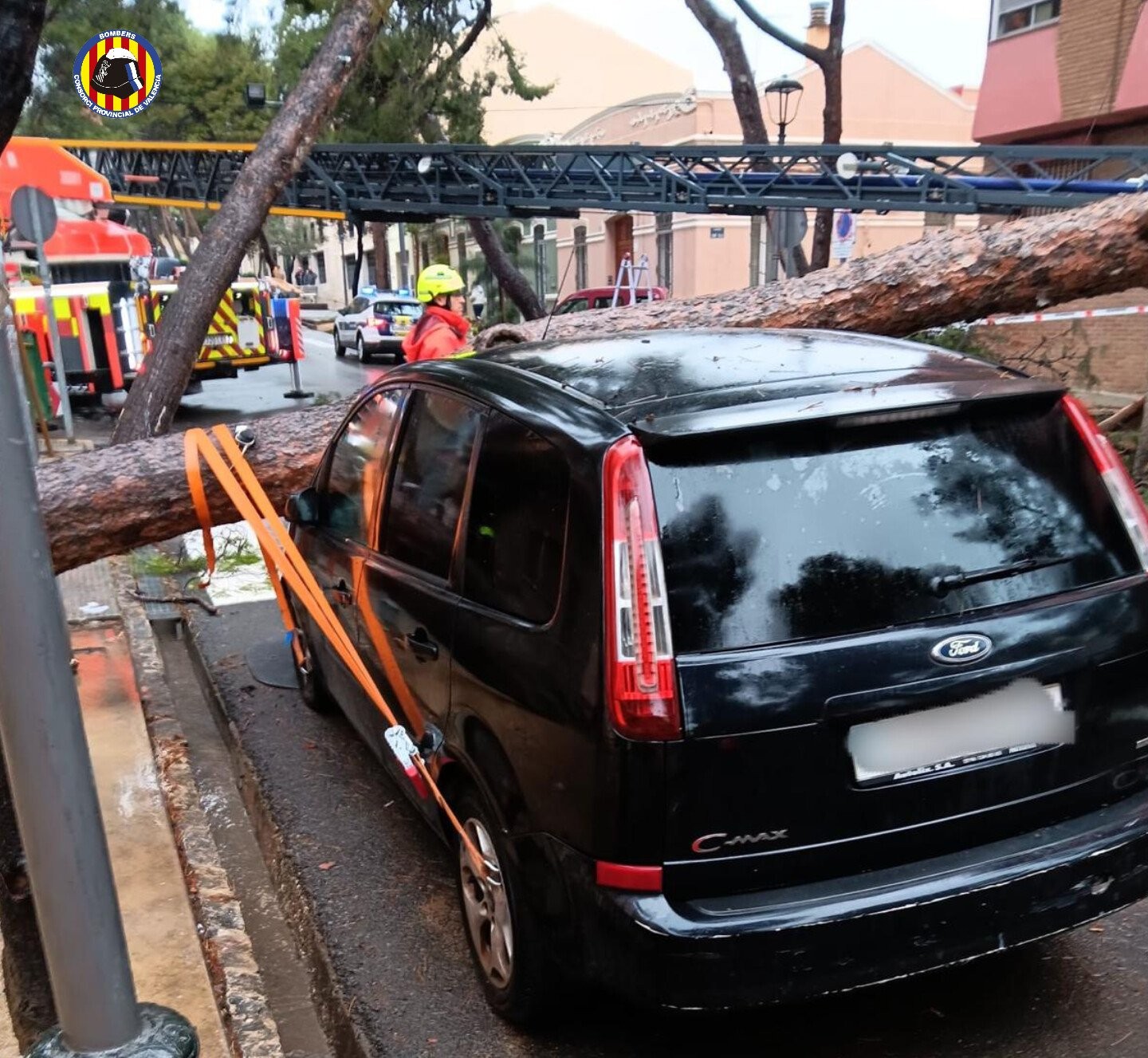Árbol caído sobre vehículos en Godella tras temporal de lluvias