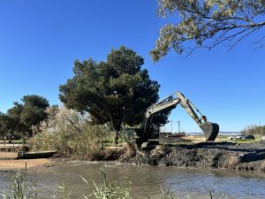 limpieza Puerto de Catarroja