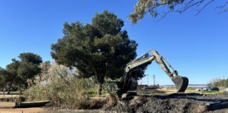 limpieza Puerto de Catarroja