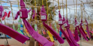 mascleta-homenaje-dona-torrentina-torrent