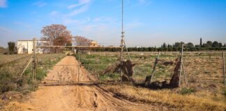 refugio animales Torrent