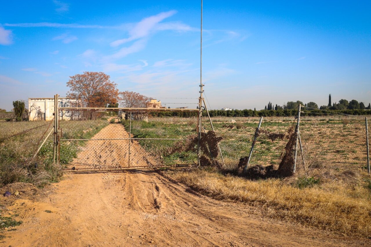 refugio animales Torrent