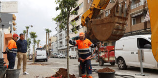 Puçol plantación arboles