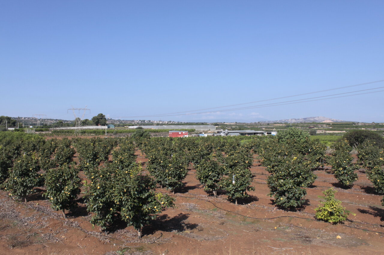 Picassent destina un millón de euros de la Fundación Amancio Ortega para agricultores afectados por la Dana