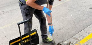 control de plagas de Mislata