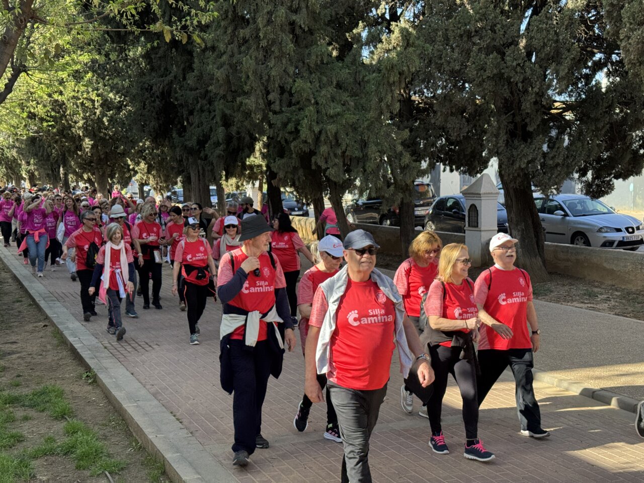 III Trobada l'Horta Sud Camina 