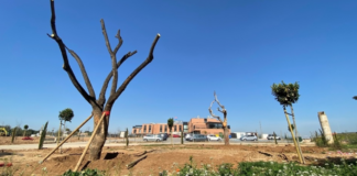 obras-jardines-rotonda-alfaro-residencia-mayores-picanya