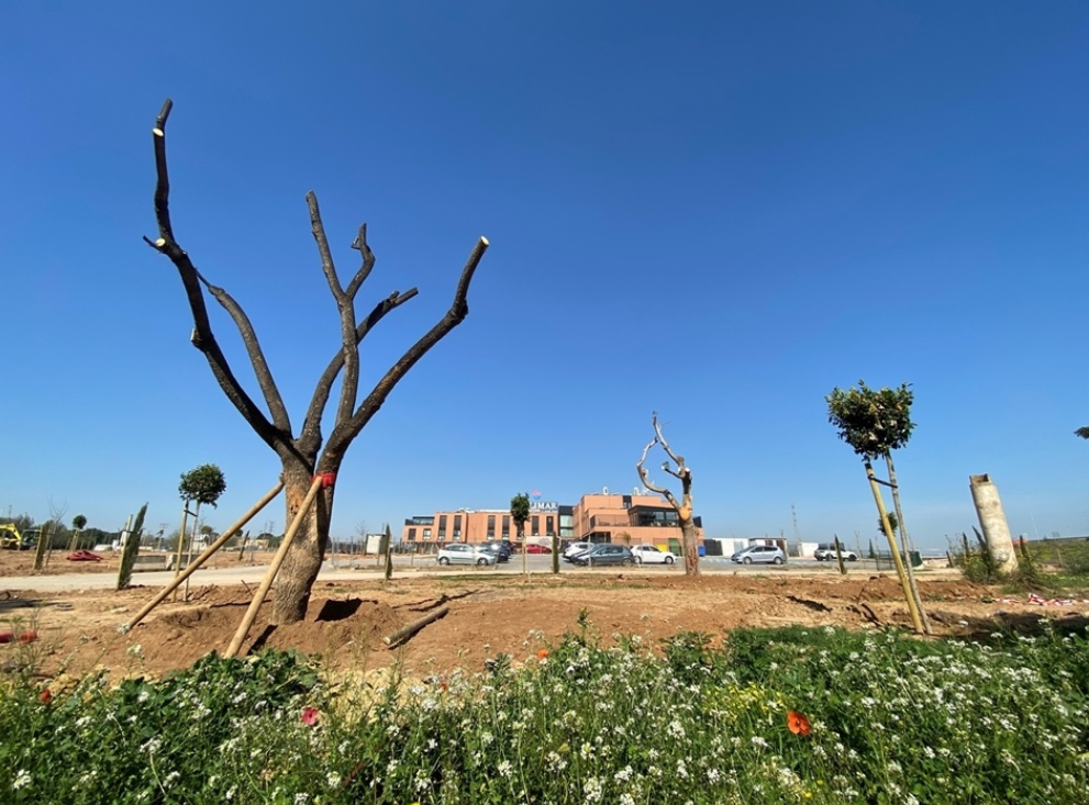 obras-jardines-rotonda-alfaro-residencia-mayores-picanya