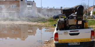 tratamientos antiplagas en Paiporta