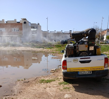 tratamientos antiplagas  en Paiporta
