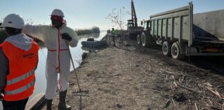 Trabajadores limpiando residuos en el parque natural de l'Albufera