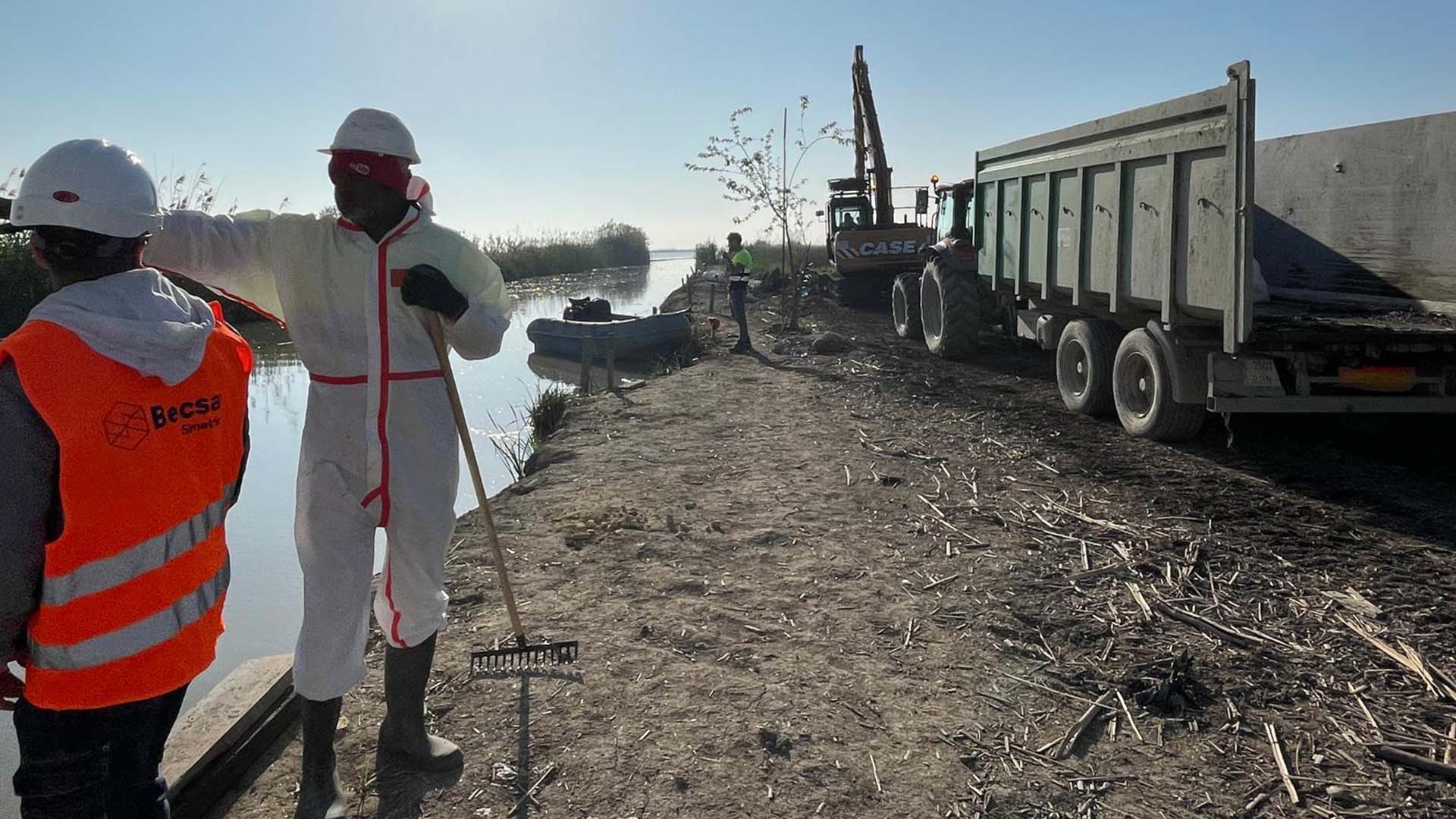 Trabajadores limpiando residuos en el parque natural de l'Albufera