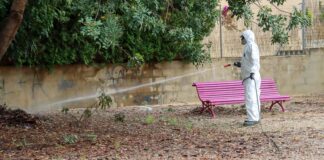 Un trabajador fumigando en un parque de Torrent para controlar el mosquit tigre.