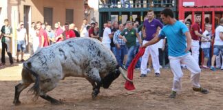 Un hombre con una capa roja frente a un toro en Almassora