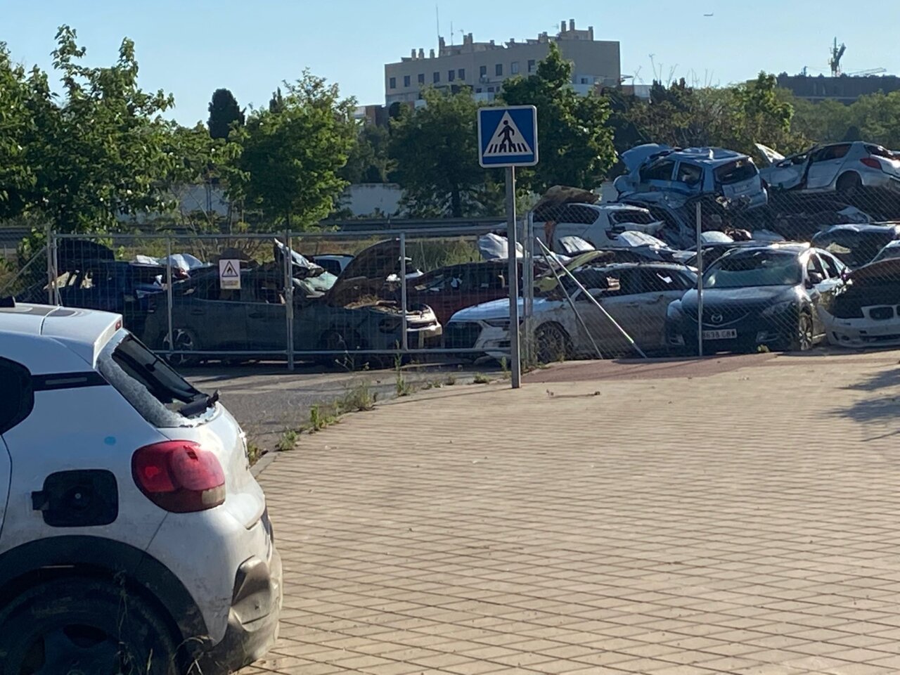 campa vehículos DANA Albal