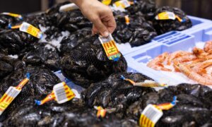 Mercadona prevé comprar más de 280 toneladas de clóchina valenciana en 2025