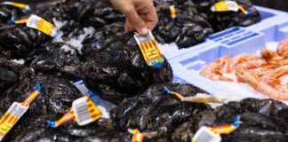 Mercadona prevé comprar más de 280 toneladas de clóchina valenciana en 2025