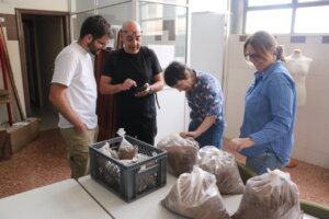 expertos-de-la-universidad-de-granada-y-arqueologos-junto-a-la-concejala-de-patrimonio-en-el-proceso-de-retirada-de-muestras-para-analizar-quart-de-poblet
