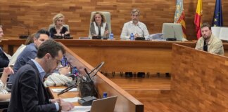 Guillermo Alonso nuevo concejal del grupo de los no adscritos