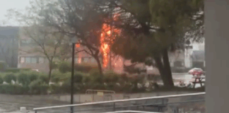 incendio por rayo en el Parque Tecnológico de Paterna