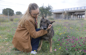 Johana Gómez acariciando a Jiri, un perro senior en un campo de flores.