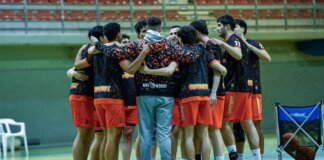 Nou Bàsquet Torrent