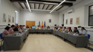pleno-ordinario-mayo-2025-manises