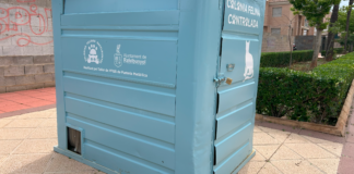 punto de alimentación colonia felina Rafelbunyol