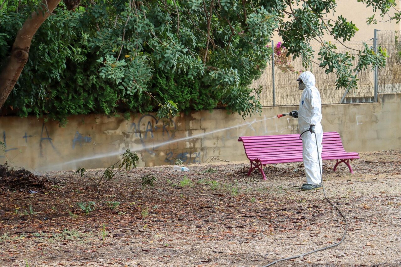 Torrent campaña mosquito tigre