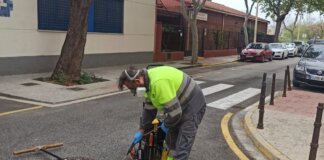 un-operario-trabaja-en-la-fumigacion-ante-la-llegada-de-las-altas-temperaturas-en-quart-de-poblet