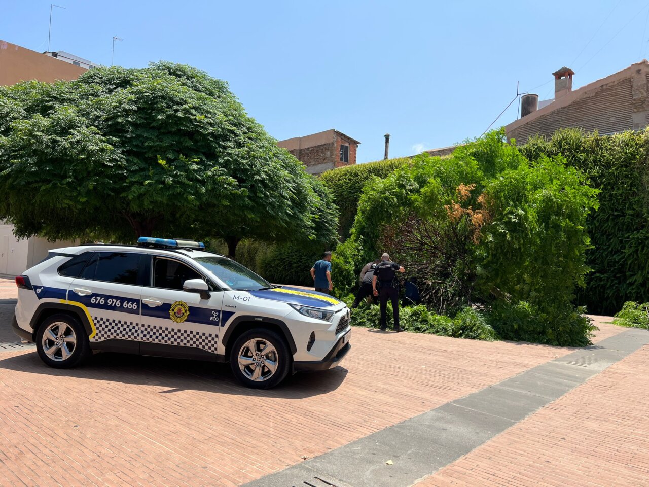 árbol caído en Tavernes Blanques