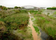 AVA-ASAJA alerta del “abandono” del barranco del Carraixet y pide su limpieza para evitar otra catástrofe Vista del barranc del Carraixet con vegetación y un puente