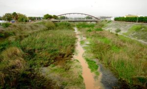 Vista del barranc del Carraixet con vegetación y un puente