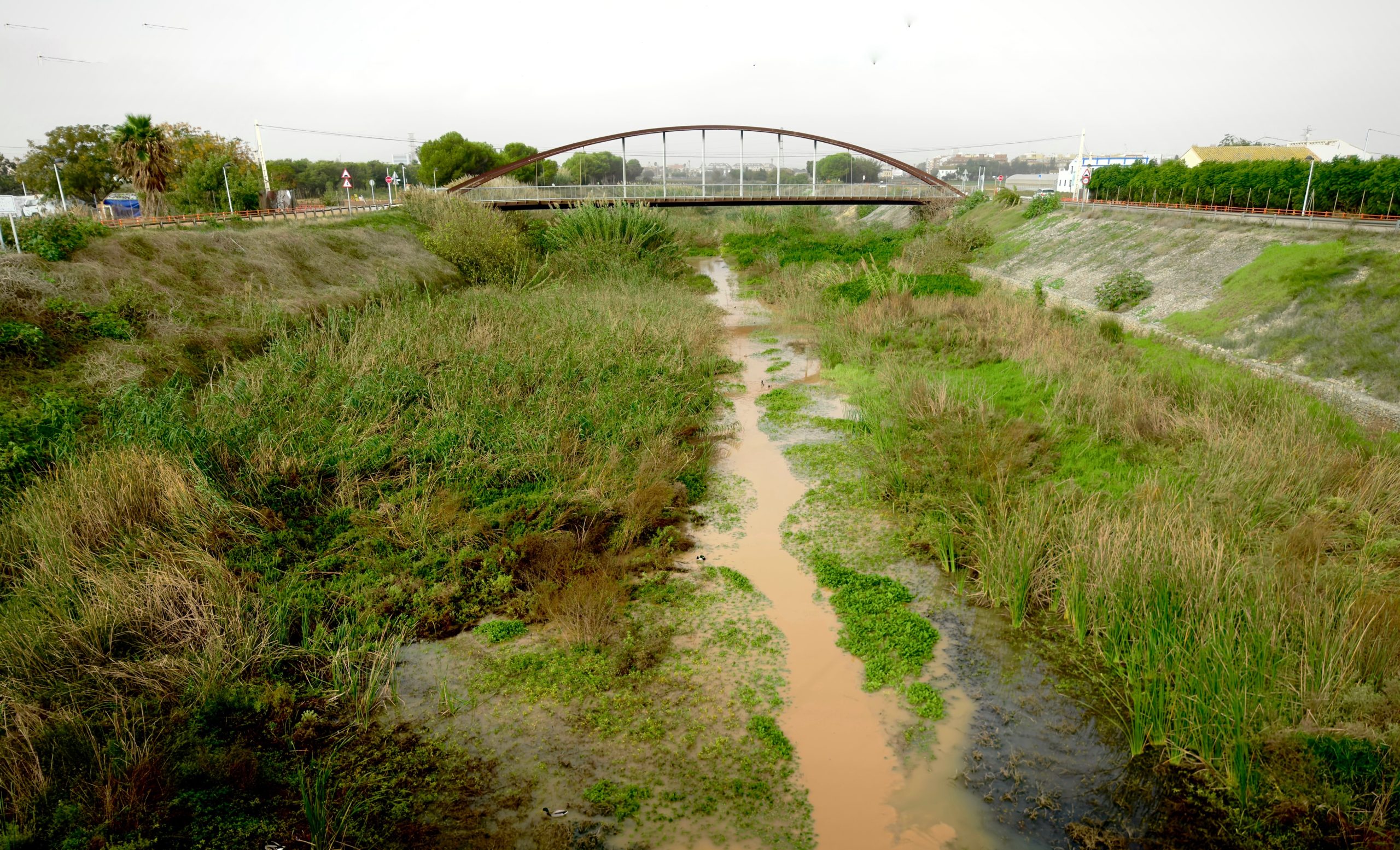 Vista del barranc del Carraixet con vegetación y un puente