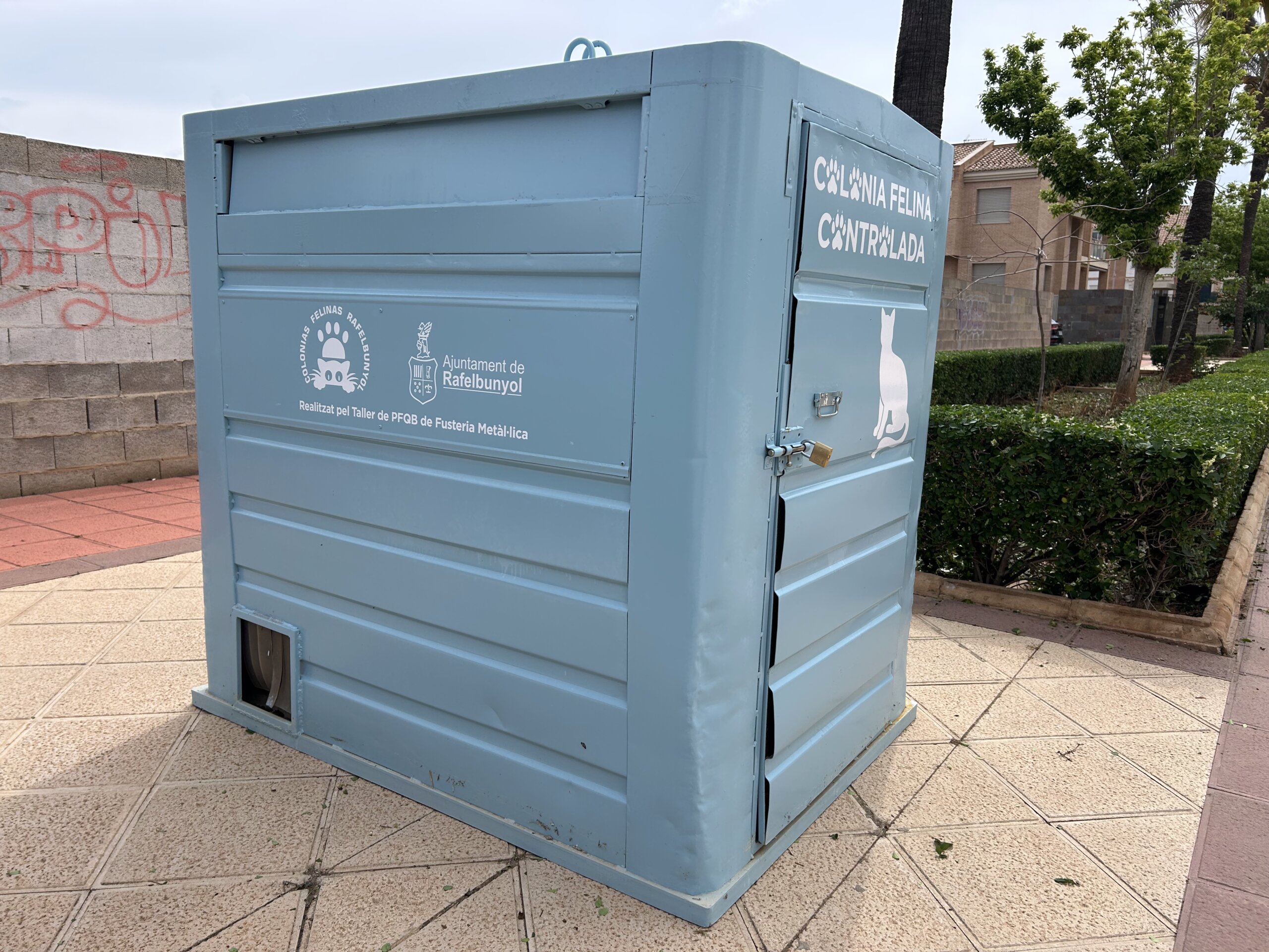 colonias-felinas-rafelbunyol