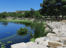 Hidraqua apuesta por naturalizar espacios, usar agua regenerada y reducir los plásticos para enfrentar el desafío climático