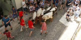 penas-taurinas-y-trashumancia-infantil-pucol
